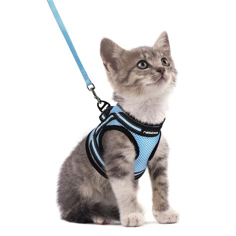 Rabbitgoo Cat Harness And Leash Set For Walking Escape Proof