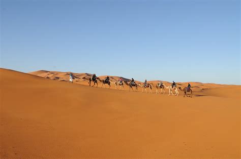 Camel Trekking Merzouga Desert - Morocco Tours Guides