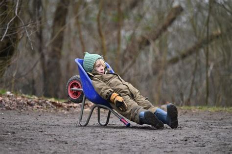 How Scandinavia's forest preschools boost children's health and confidence