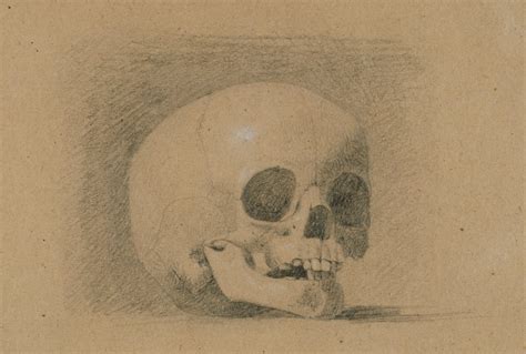 A human skull | Works of Art | RA Collection | Royal Academy of Arts