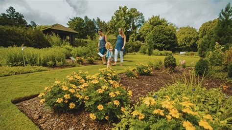 Rose & Flower Gardens in Central North Carolina | VisitNC.com