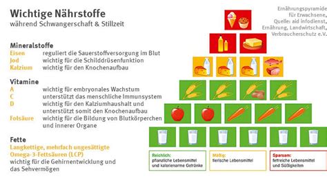 Ernährung in der Stillzeit Was und wie viel kann ich essen windeln