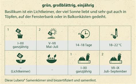 Kostenloser Versand Basilikum Genoveser Lubera De