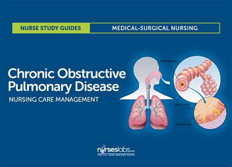 Chronic Obstructive Pulmonary Disease Copd Nursing Care Management