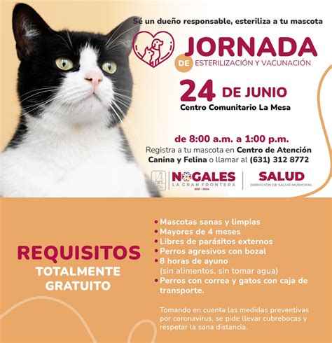 Realizar N Jornada De Esterilizaci N De Mascotas En La Colonia La Mesa