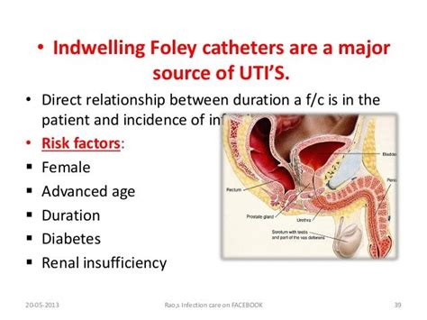 78 Best images about Foley catheter on Pinterest | New nurse, Best ...