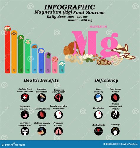 Benefits Of Magnesium Word Cloud Concept Vector Illustration