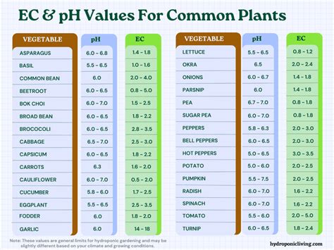 Best Hydroponic Nutrients For Vegetables A Definitive Guide