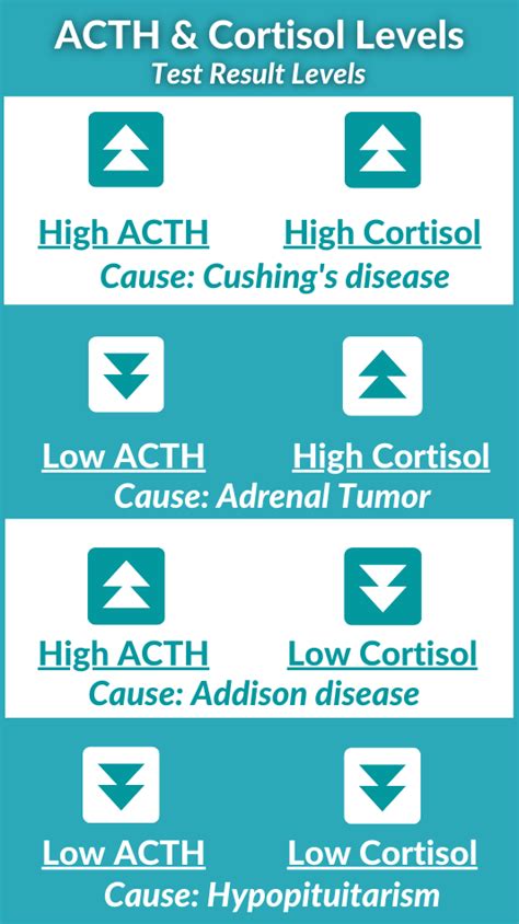 Acth Hormone Test Importance Of Normal Acth Levels Causes Of Highlow Levels Diagnosis