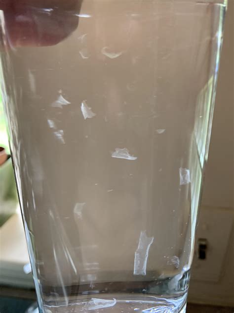 Translucent White Stuff In Massachusetts Tap Water R Whatisthisthing