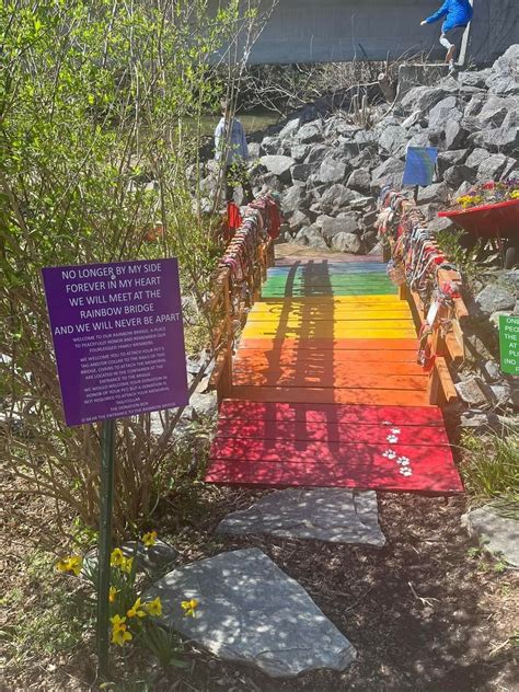 This Rainbow Bridge Is At Lake Lure North Carolina It Is Lovingly