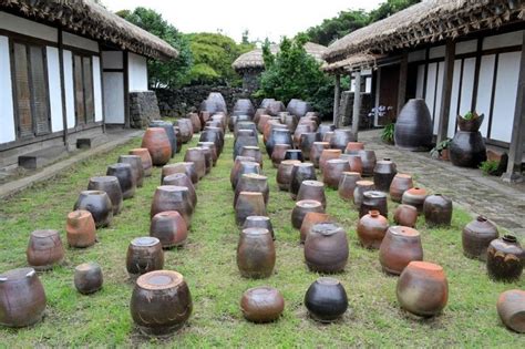 Jeju Folk Village Museum | 제주민속촌박물관 : TRIPPOSE