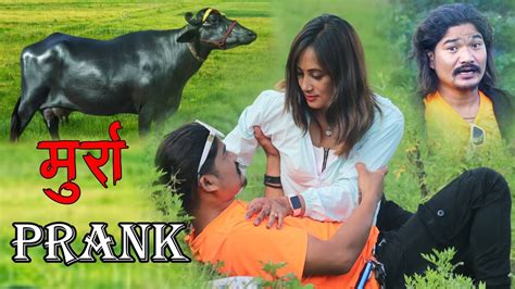 New Nepali Prank Got Prank Prank By Kapil Magar