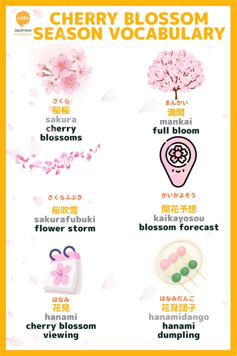 Cherry Blossom Season Japanese Vocabulary Artofit