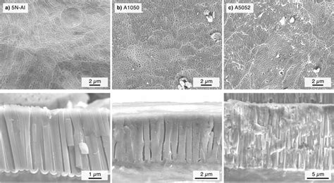 Sem Images Of The Surface Upper And The Fracture Cross Section