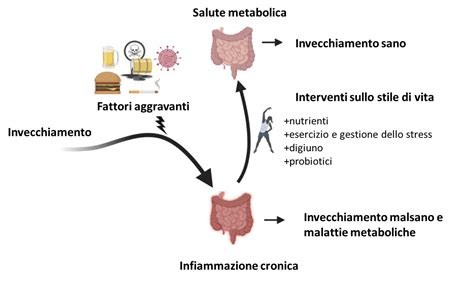 Infiammazione Cronica Dr Dimitris Tsoukalas