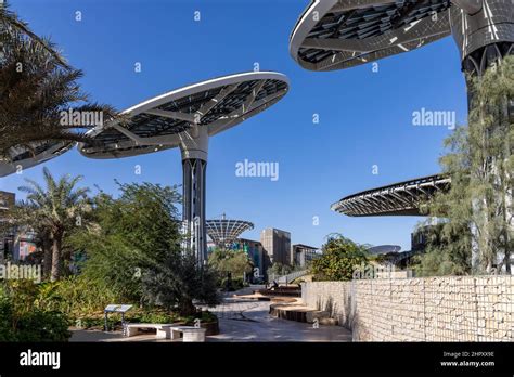 Solar Panel Trees At Terra The Sustainability Pavilion At The Dubai