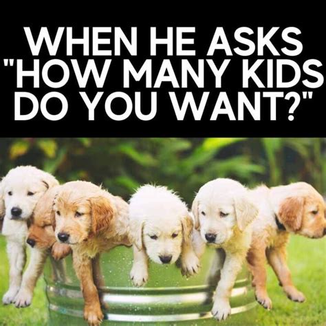 hilarious puppy memes     tail wag