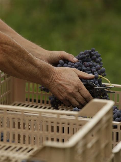 Brigaldara Magnum Amarone Della Valpolicella Case Vecie