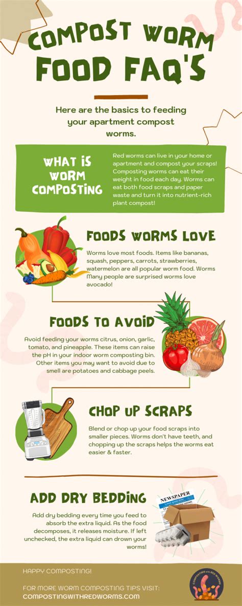 Feeding compost worms - how-to- information