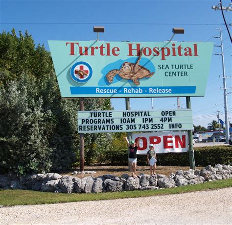 The Turtle Hospital - Life In Pleasantville