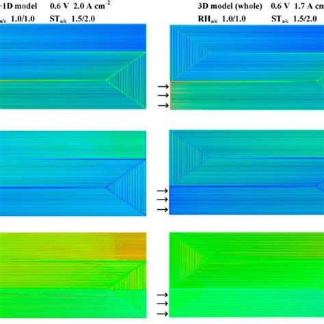 Comparison Of Oxygen Molar Concentration Cathode Electrochemical