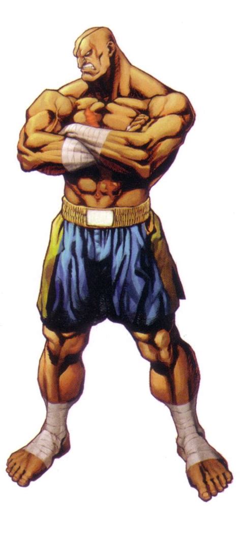 Sagat Street Fighter Image By Capcom 3839159 Zerochan Anime