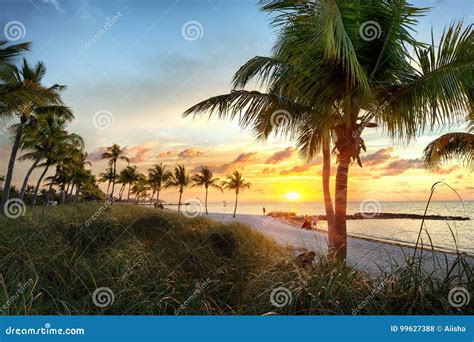 Sunrise On The Smathers Beach Editorial Stock Photo Image Of Palm