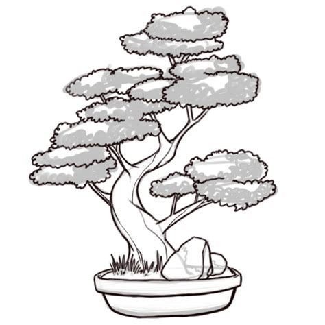 How To Draw A Bonsai Tree Steps With Pictures Wikihow