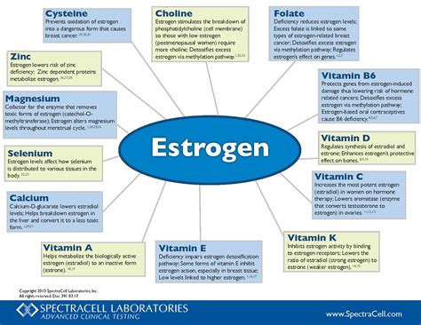 Fatty Liver Disease Symptoms And Treatment Options Fattyliversorg ...