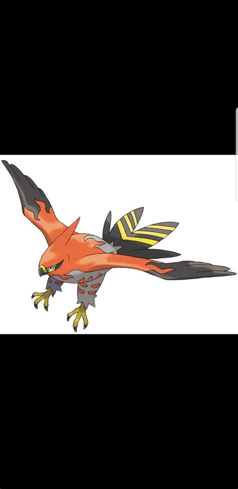 Talonflame Wiki Pokémon Rpers Amino Amino