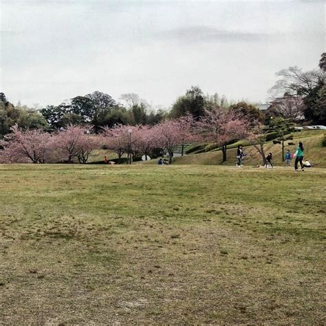 bagustris@/home: The Kameyama Park