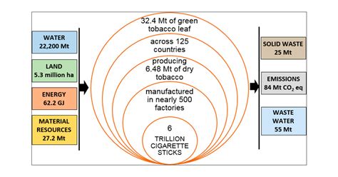 Cigarette Smoking An Assessment Of Tobaccos Global Environmental Footprint Across Its Entire