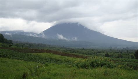 Virunga Mountains: A gem of biodiversity in the heart of Africa ...