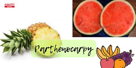 Parthenocarpy Meaning, Types, and Examples