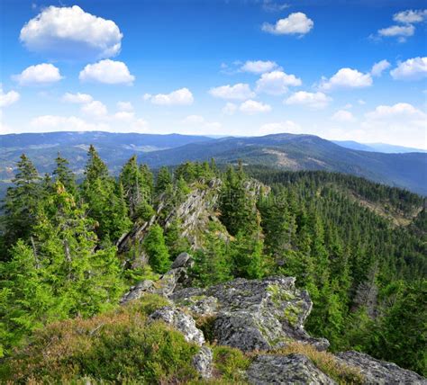 Summer Landscape In The National Park Sumava. Stock Image - Image of ...