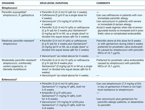 Endocarditis Antibiotic Treatment