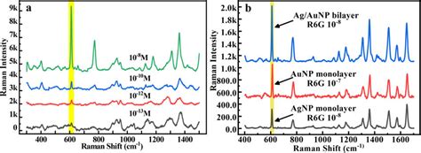 A Sers Spectra Of The R6g Solution With Different Concentrations