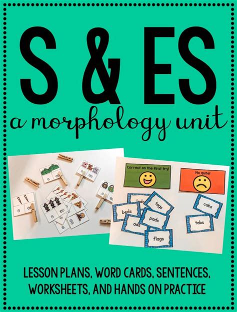 Suffix S And Es A Morphology Unit Phonics Lesson Plans Phonics