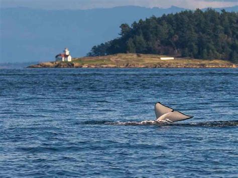 Patos Island - Washington State Parks Foundation