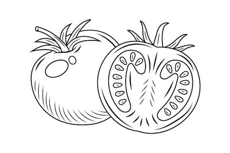 Outline Tomato Images - Free Download on Freepik