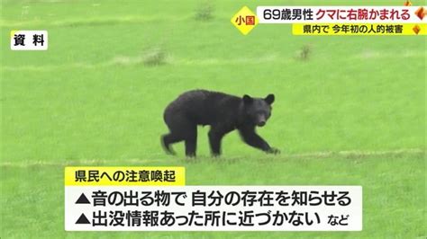 クマの目撃相次ぐ前年比1 5倍 山菜採りで山に入った男性が右腕かまれ重傷 県内の人的被害は今年初【山形発】｜fnnプライムオンライン