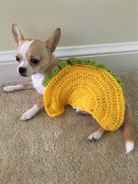 Taco Pet Costume Taco Cat Costume Taco Costume for Dogs | Etsy