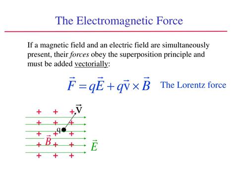 Ppt Magnetic Fields Chapter 29 Continued Powerpoint Presentation Free Download Id6392721