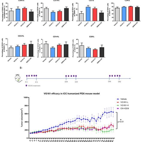 Humanized Icc Pdx Model A Implantation Of Different Human White