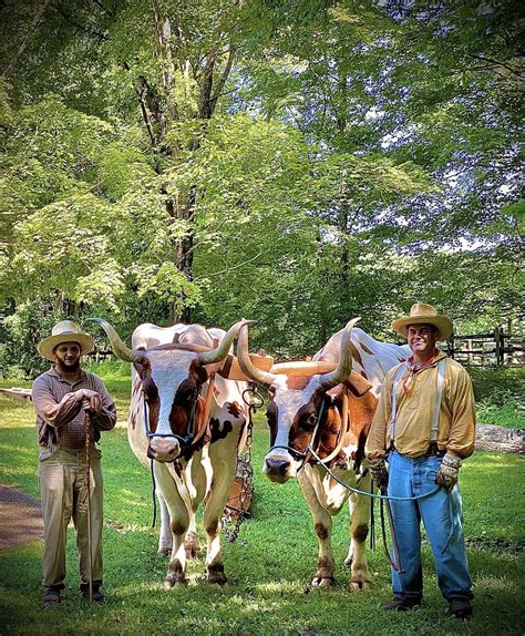 Homeplace S Working Farm Free Photo Rawpixel