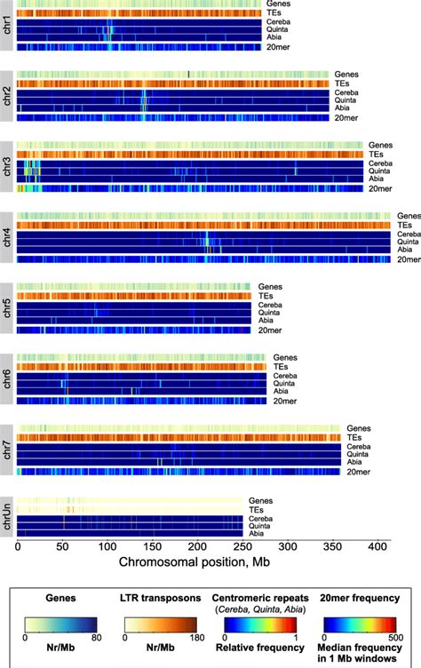 Structural Genome Annotation Including Genome Wide Distribution Of