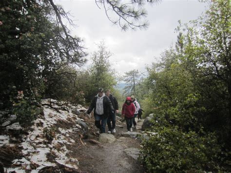 Camping at Idyllwild - The Yang Lab at University of California, Irvine