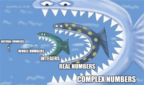 Rational Numbers Should Be Between Integers And Real Numbers Rmathmemes