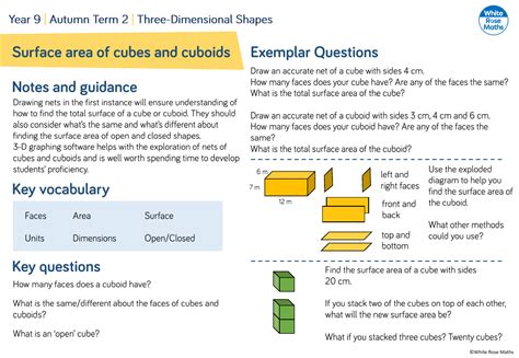 Surface Area Of Cubes And Cuboids Questions Maths